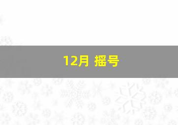 12月 摇号